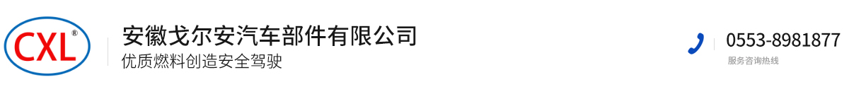 安徽戈尔安汽车部件有限公司 